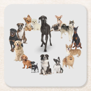 Fun Dog Breed Pet Animals Dog Square Paper Coaster