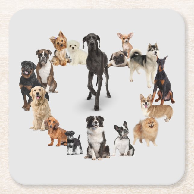 Fun Dog Breed Pet Animals Dog Square Paper Coaster (Front)