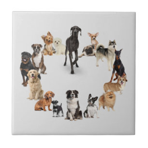 Fun Dog Breed Pet Animals Dog Tile