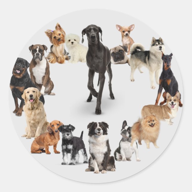 Fun Dog Breed Pet Animals Dog Walking Postcard Hea Classic Round Sticker (Front)
