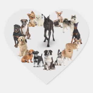 Fun Dog Breed Pet Animals Dog Walking Postcard Heart Sticker