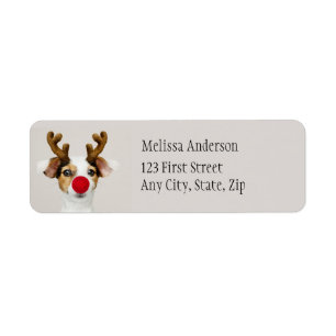 Fun Dog Christmas Reindeer Animal Address Label