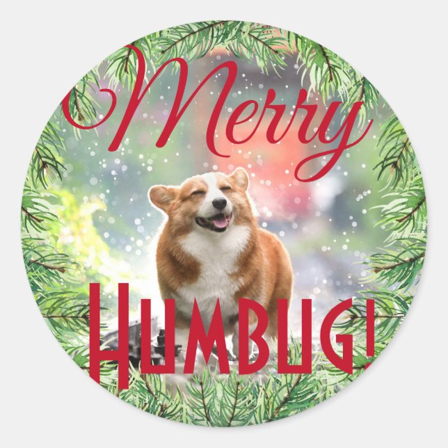 Fun Dog Photo Christmas Wreath Merry Humbug Classic Round Sticker (Front)