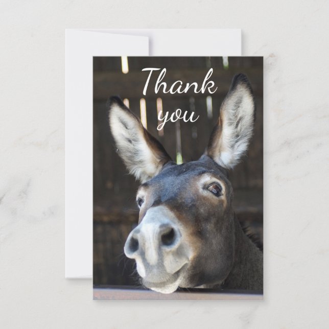 Fun Donkey, Burro, Farm Animal Humour Thank You Card (Front)