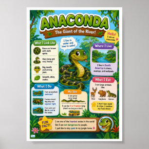 Fun Facts About Anaconda For Kids Poster