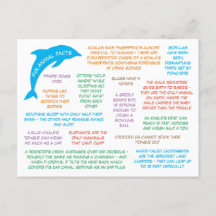 Fun Facts About Animals Cute & Colourful Postcard
