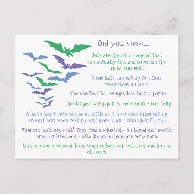 Fun Facts About Bats Postcard (Front)