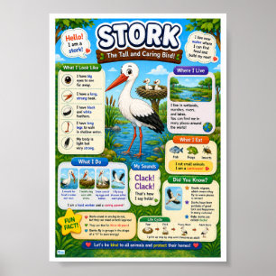 Fun Facts About Stork For Kids Poster