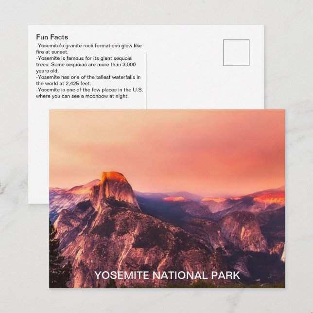 Fun Facts Yosemite National Park Postcard (Front/Back)