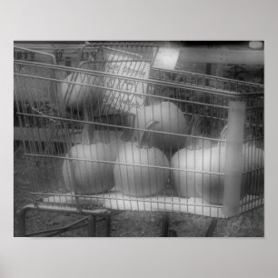 Fun Fall Pumpkins Black White Photo Print