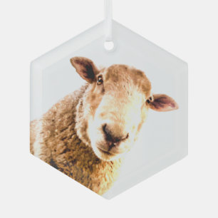 Fun Farm Animal Sheep  Glass Tree Decoration