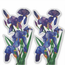Fun Floral Watercolor Iris Gift Duo Sticker