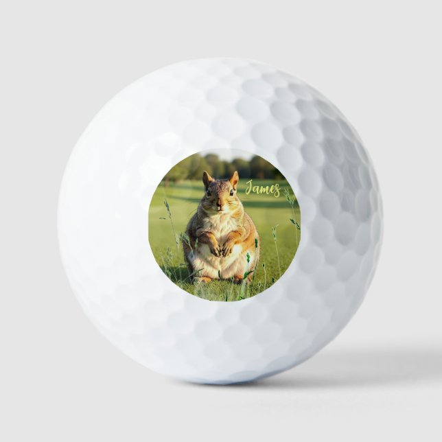 Fun Fox Squirrel Golf Balls (Front)