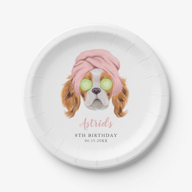 Fun Girls Spa Birthday Party Paper Plate (Front)