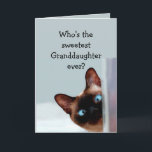 Fun Granddaughter  Birthday Wishes Siamese Cat Card<br><div class="desc">Funny Granddaughter Birthday Wishes Siamese Cat Animal Humour you up.   Perfect for that Granddaughter in your life with a sense of humour,  a love of cats and a birthday</div>