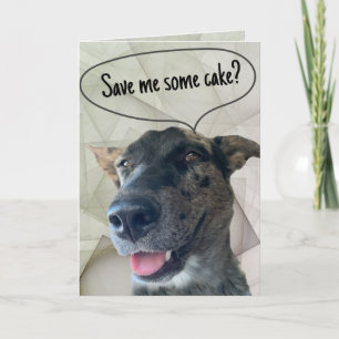 Fun Grey Brindle Cattle Dog Photograph  Card