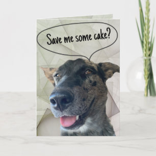 Fun Grey Brindle Cattle Dog Photograph  Card