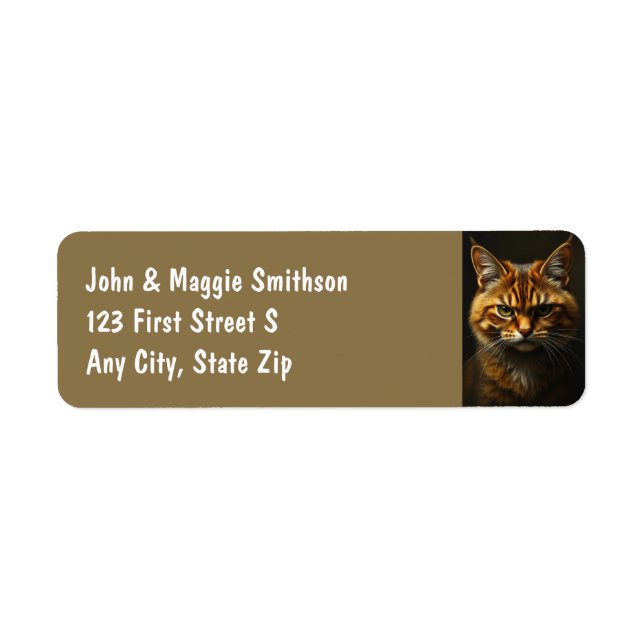 Fun Grumpy Orange Tabby Cat kitten (Front)