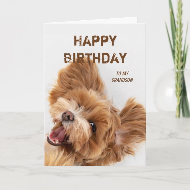 Fun Happy Birthday Grandson Cute Dog Puppy Holiday Card (Front)