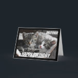 Fun Heart to Heart Brother Birthday Cat Animal Card<br><div class="desc">If you love Cats or Animals this card will bring a smile to your face  Perfect for the Brother  who loves Cats.  We may not always see eye to eye but always heart to heart</div>