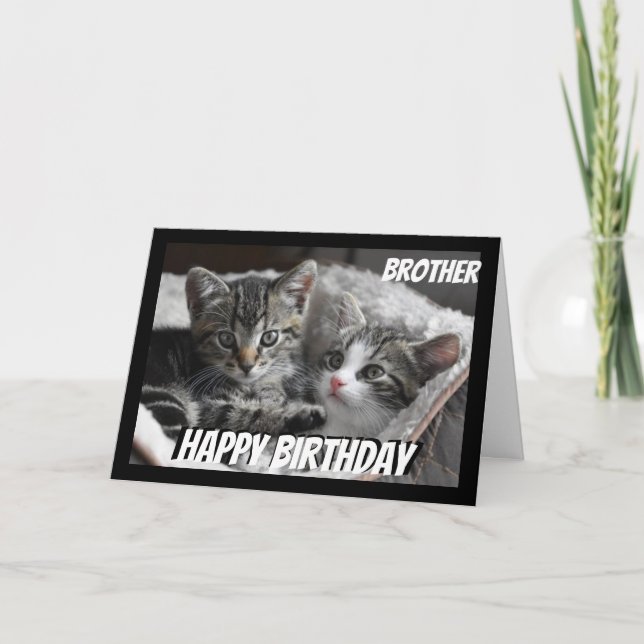 Fun Heart to Heart Brother Birthday Cat Animal Card (Front)