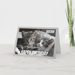 Fun Heart to Heart Sister Birthday Cat Animal Card