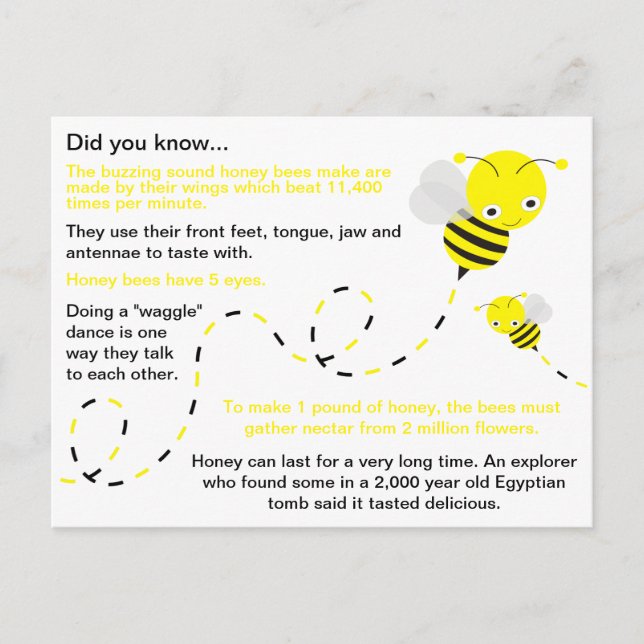 Fun Honey Bee Facts Postcard (Front)