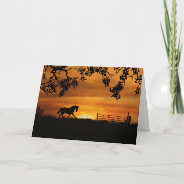 Fun Horse Themed Happy Birthday Card (Front)