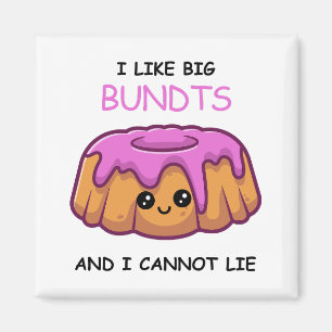 Fun I Like Big Bundts and I Cannot Lie  Magnet