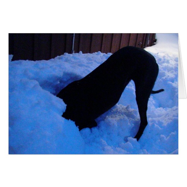 Fun in the snow (Front Horizontal)