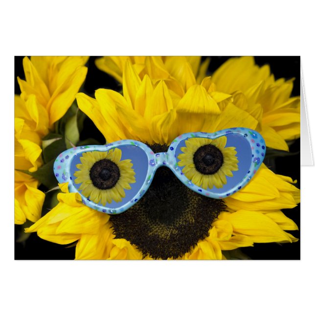 Fun In The Sun (Front Horizontal)