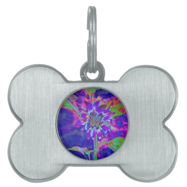 Fun in the Sun Blue Pet Name Tag (Front)