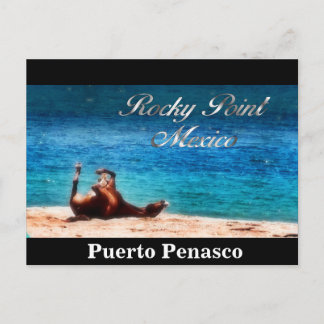 Fun In The Sun Postcard