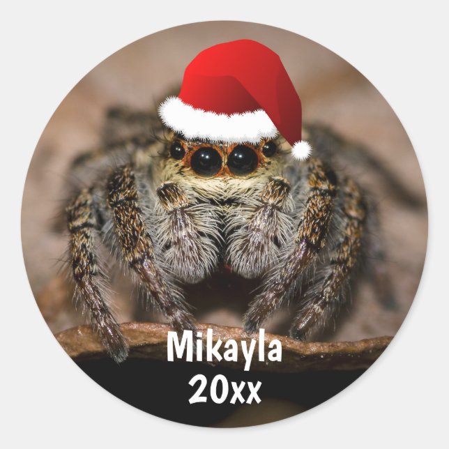Fun Jumping Spider in Santa Hat Christmas  Classic Round Sticker (Front)