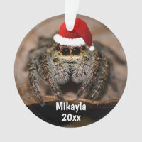 Fun Jumping Spider in Santa Hat Christmas
