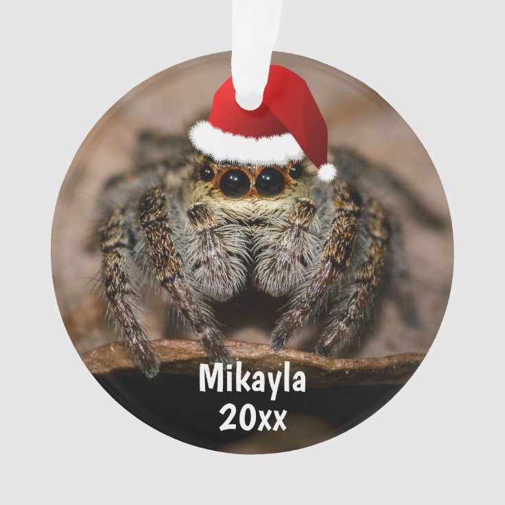 spider with christmas hat