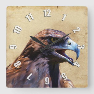 Fun Juvenile Bald Eagle Bad Attitude Wildlife Square Wall Clock