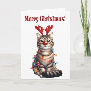 Fun Kitten Funny Cat Christmas  Card