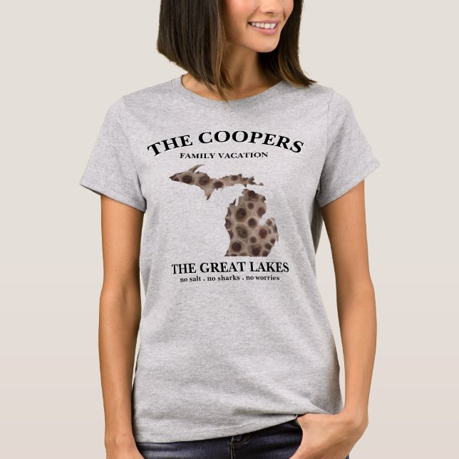 Fun Lake Michigan Great State State petoskey rocks T-Shirt (Front)