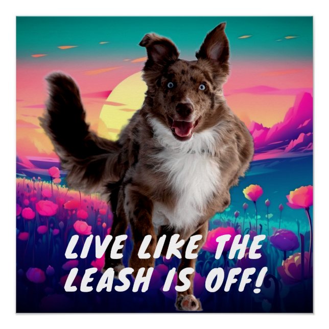 Fun Life Quote Modern Australian Shepherd   Poster (Front)