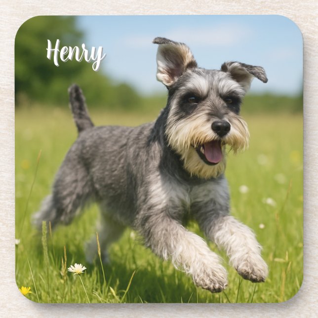 Fun-loving Personalised Schnauzer Coaster Set (Front)