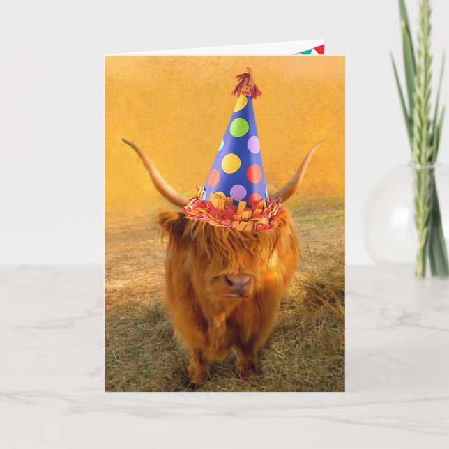 Fun Loving Scottish Highland Steer Birthday Card (Front)
