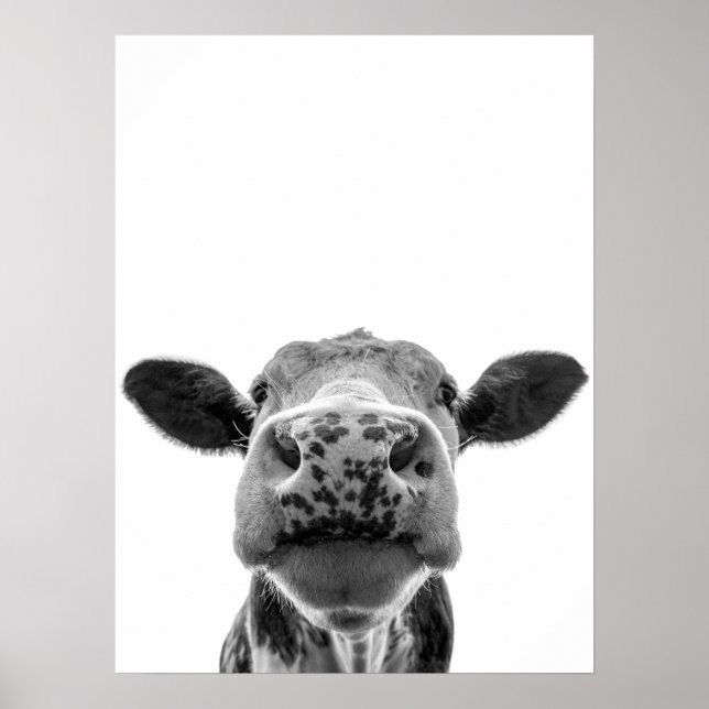 Fun Modern Black White Cow Rustic Farmhouse  Poster (Front)