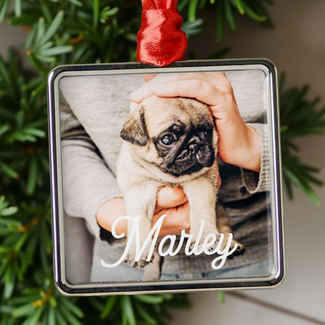 Fun Modern Simple Custom Pet Photo Keepsake Metal Tree Decoration (Creator Uploaded)