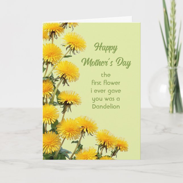 Fun Mother Day Best Mother Ever Card (Front)