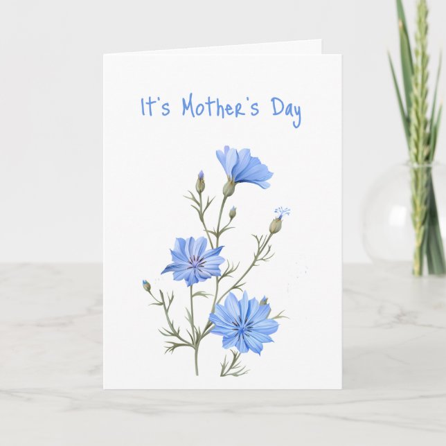 Fun Mother's Day Beautiful Blue Wild Chicory  Card (Front)