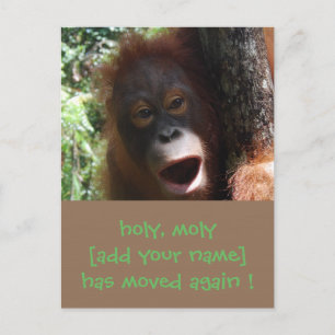 Fun Moving Change New Address Announcement Postcard