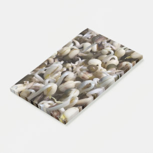 Fun Mung Beans Post-it Notes