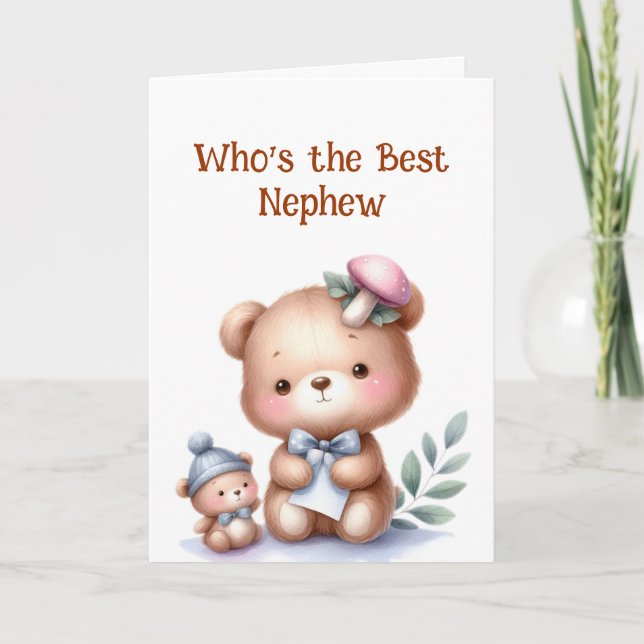 Fun Nephew Birthday Cute Teddy Bear Card (Front)