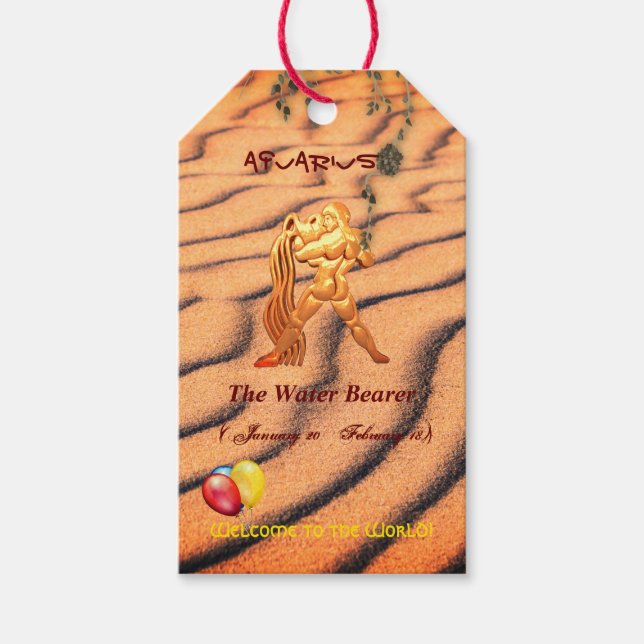 Fun 'New Baby' Aquarius  Gift Tags (Front)
